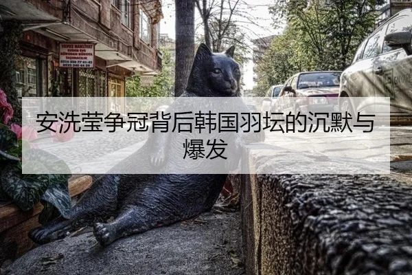 安洗莹争冠背后韩国羽坛的沉默与爆发